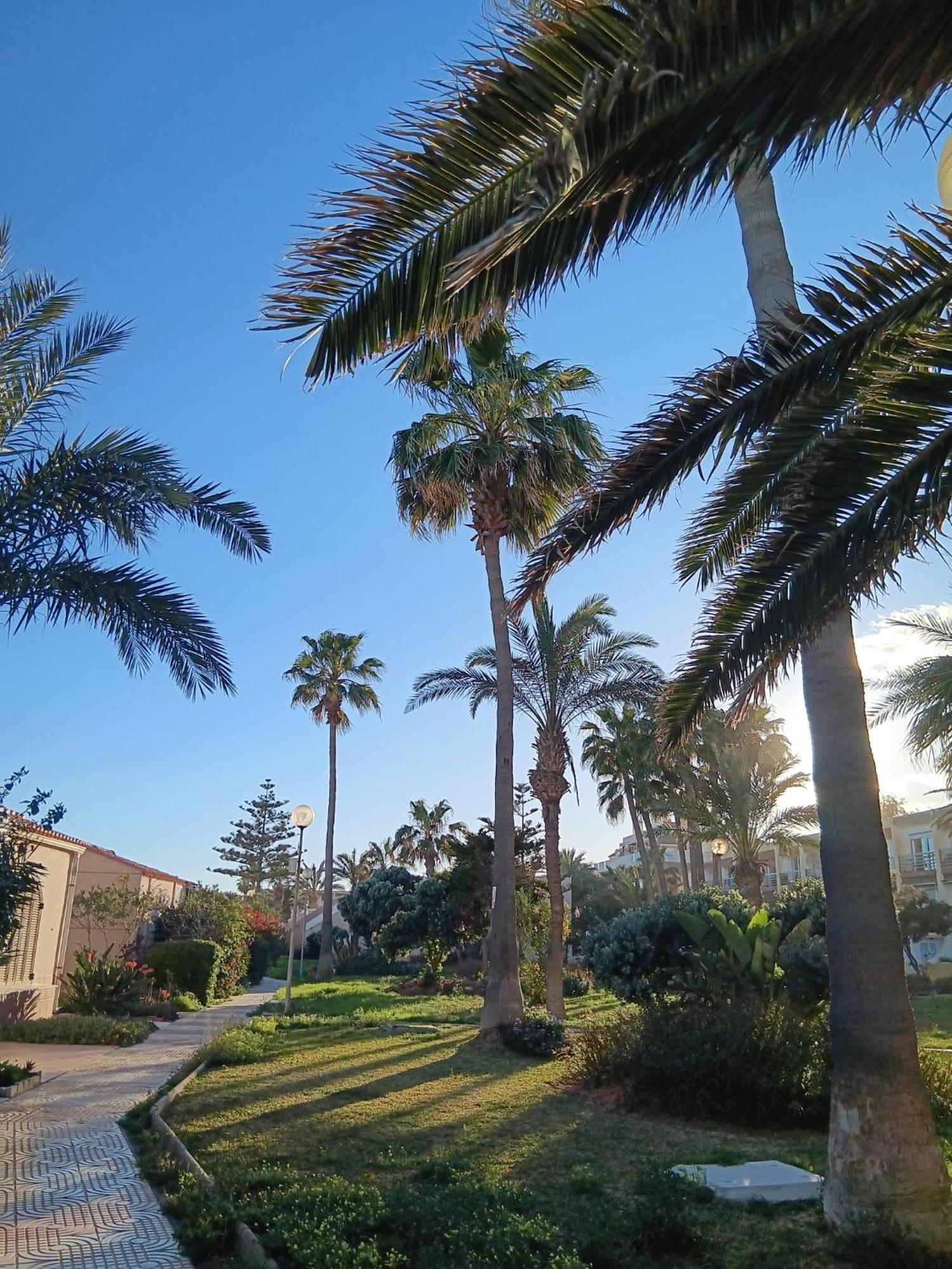 Tropicana Playa روكيتاس ذي مار المظهر الخارجي الصورة